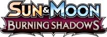 Burning Shadows